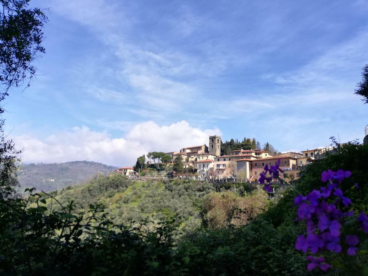 Appartamento Casa Dalia Montecatini-Terme Esterno foto