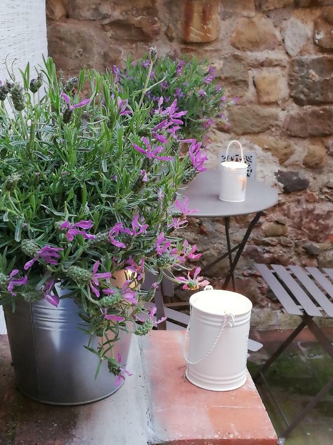 Appartamento Casa Dalia Montecatini-Terme Esterno foto